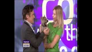 CUTE BABY WOLVES ON TV with Top Gear's Richard Hammond