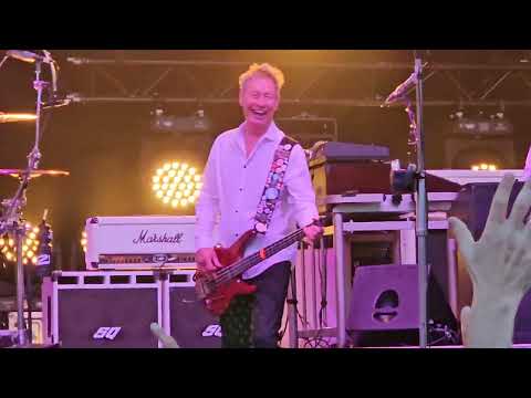 4/7 - Status Quo - Proposing-Medley - Greven/Germany 07.06.24