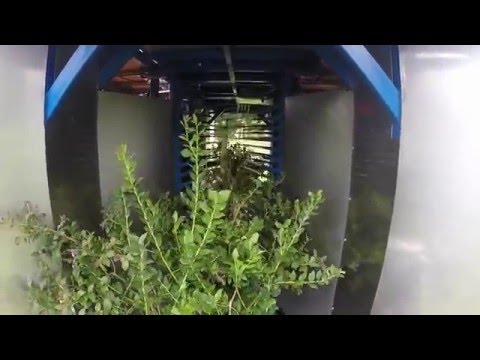 Blueberries Picking Machine - Trucao Berries