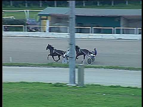 Trotto 16/03/2018 - prova di qualifica