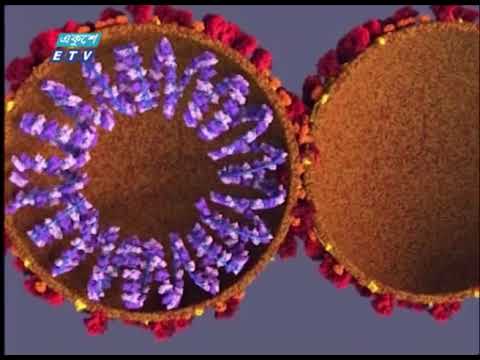 ব্রিটেনের স্ট্রেইনের অনুরুপ করোনা দেশে শনাক্ত | ETV News