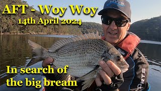 Woy Woy - big bream on lures - AFT 14th April 2024 report