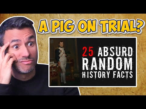 25 Absurd Random History Facts (REACTION) Napoleon Chased By Rabbits?