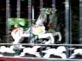 Central Park Carousel