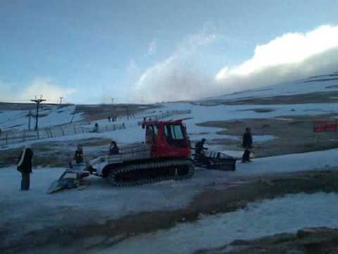 Szkot 2008 Cainegorme Tokio Rap