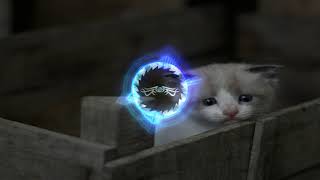 Download lagu Xiao Pan Pan & Xiao Feng Feng - Learn To Meow (AZRIFF Edit) mp3