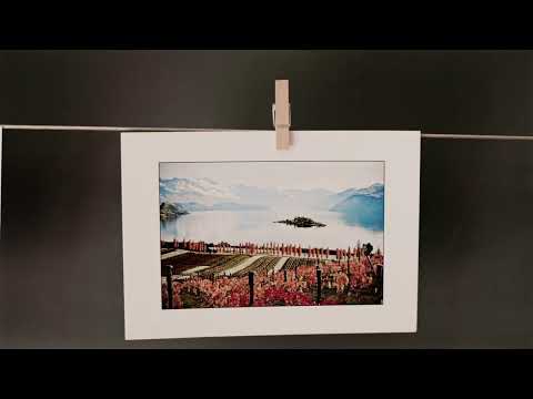 Open gallery