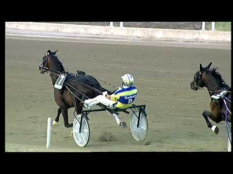 Napoli Trotto 17/06/2021 - 1ª corsa