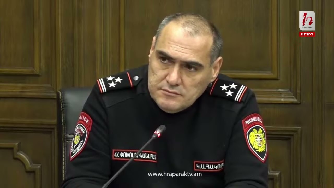 Էլեկտրաշոկով հարվածել են շանը. կենդանասերը՝ փոխոստիկանապետին