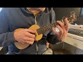 Ohana SK-75R soprano ukulele ~ part 2. All solid. Elizabeth Cotton, Nina Nastasia, Magnetic Fields.