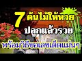 หวยดี