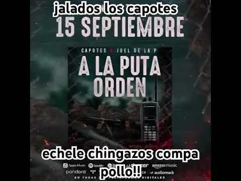 a la puta orden los capotes #trending #viral #parati #music #foryou