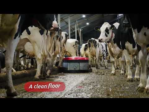 Discover Discovery Collector - EN