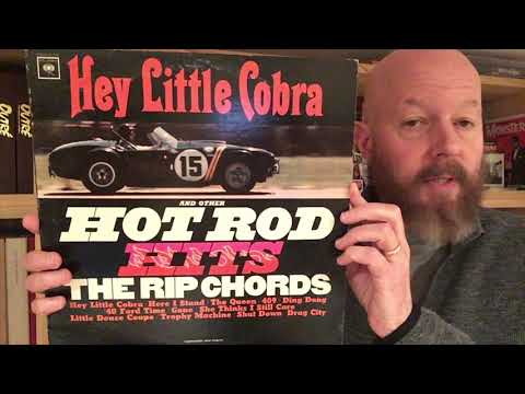 049 Bruce, Terry & The Rip Chords