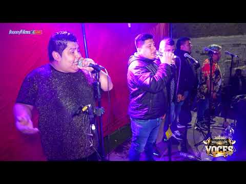 AMOR DE CHIQUILLOS MIX...(D.R.) MIGUELON Y LAS VOCES DE LA CUMBIA en 4K - 2021