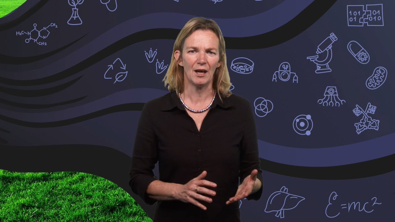 Effects of nanomaterials on organisms and ecosystems | Martina Vijver | TEDxBoerhaavedistrictStudio