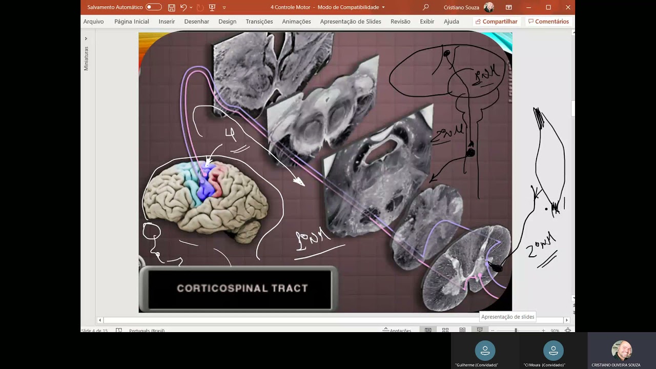 Controle motor: movimento voluntário
