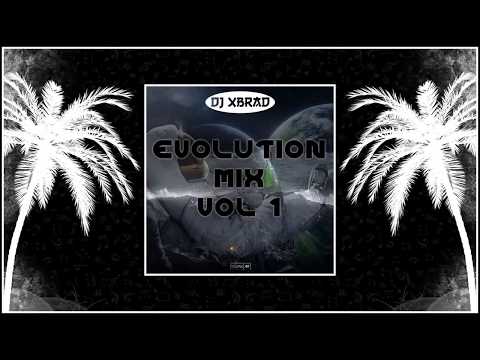 Evolution Mix Dj-X Brad Vol.1
