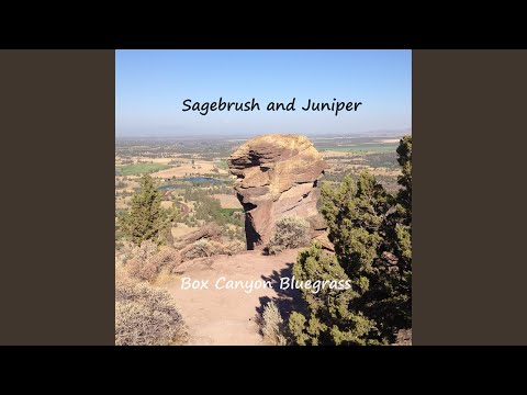 Sagebrush And Juniper - Box Canyon Bluegrass