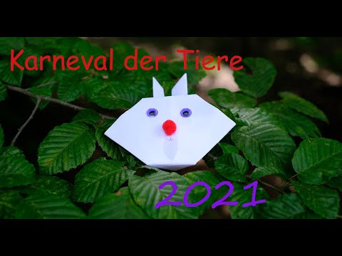"Karneval der Tiere " - Theaterworkshop - Sommer 2021