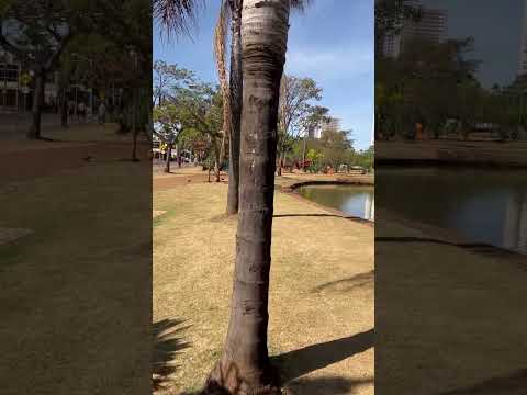 Parque Ipiranga Anápolis Goiás