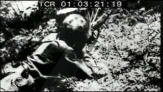 American Lesion - Uncle Sam (original 2011)