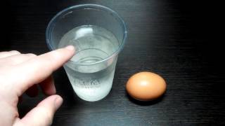 Как узнать тухлый сом или нет