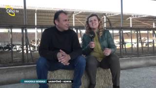 ANADOLU SEVDASI/SARAYÖNÜ/KONYA