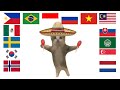 Happy Cat in different languages meme