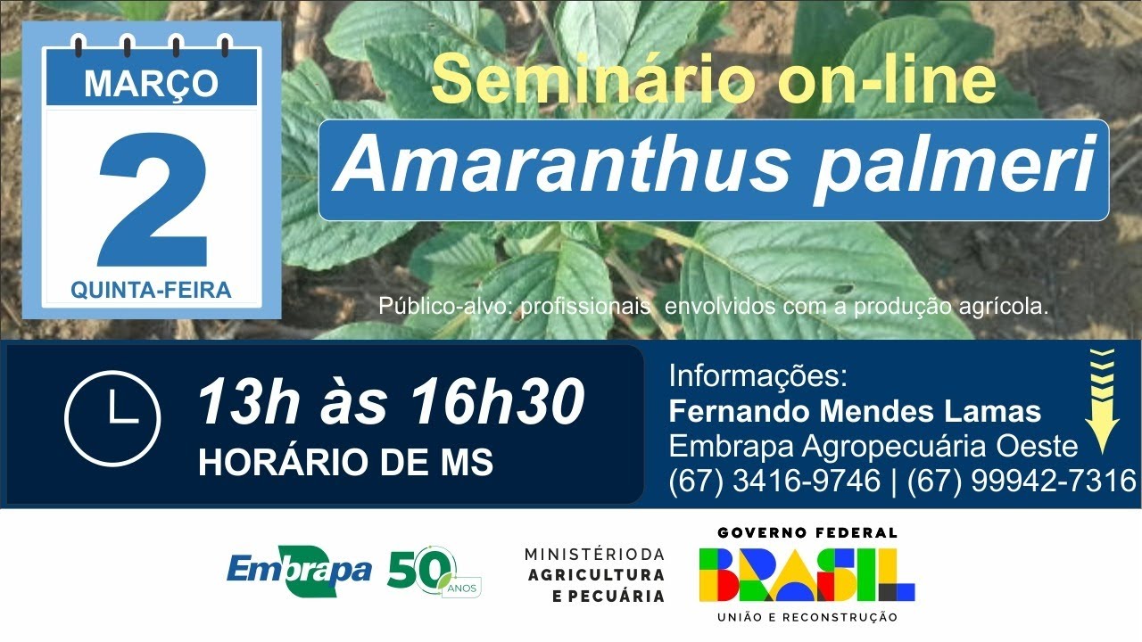 Seminário on-line: Estado da arte - Amaranthus Palmeri (caruru) detectada em Mato Grosso do Sul