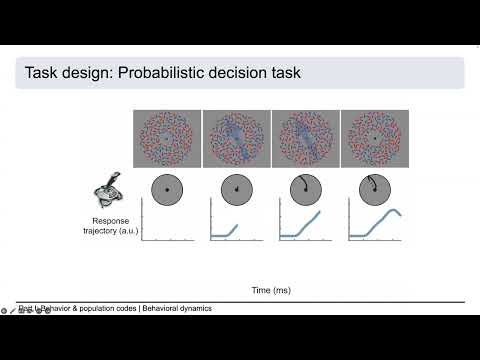 Innovators in Cog Neuro - Nuttida Rungratsameetaweemana