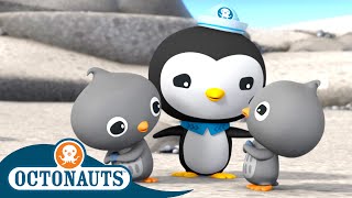 Octonauts - Adelie Penguins & the Sea Snakes | Cartoons for Kids | Underwater Sea Education