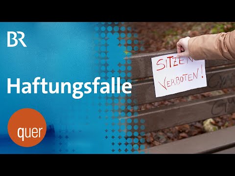 Haftungsfalle: Bayerns Wälder bald ohne Sitzbänke? | quer vom BR