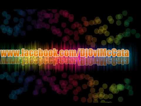 Coco de la Slatina   7 pui de prepelita Live