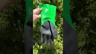 Vídeo