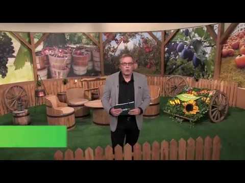 Naše dobro ep. 24 03.11.2018. NAJAVA