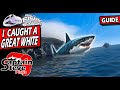 Real VR Fishing I Caught A Great White Shark Meta 3 Guide
