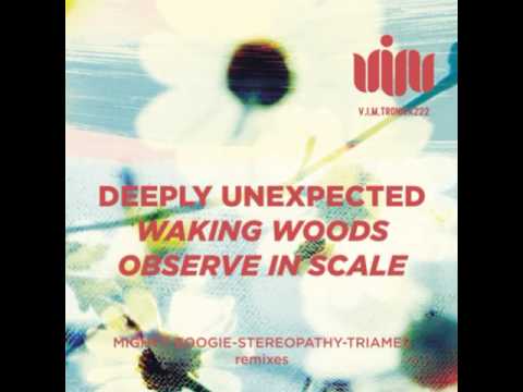 Deeply Unexpected - Waking Woods (Stereopathy Remix)