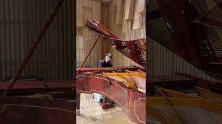 Download lagu \ リスト:愛の夢 / ささやくように始まり、次第に想いがあふれていく一曲です💫 #piano #shorts mp3 Download lagu \ リスト:愛の夢 / ささやくように始まり、次第に想いがあふれていく一曲です💫 #piano #shorts mp3