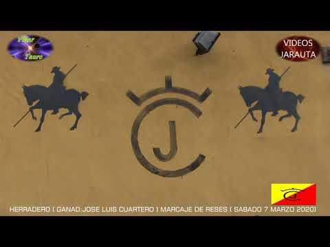HERRADERO  GANAD. JOSE LUIS CUARTERO  MARCAJE DE RESES  SÁBADO 7 MARZO 2020