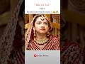 Fakhir Rocked Everyone Shocked Zehri Writes 2 Status Shorts Explore Sara Love