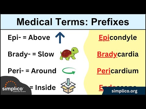 Medical and Nursing Terminology MADE EASY: Prefixes [Flashcard Tables]