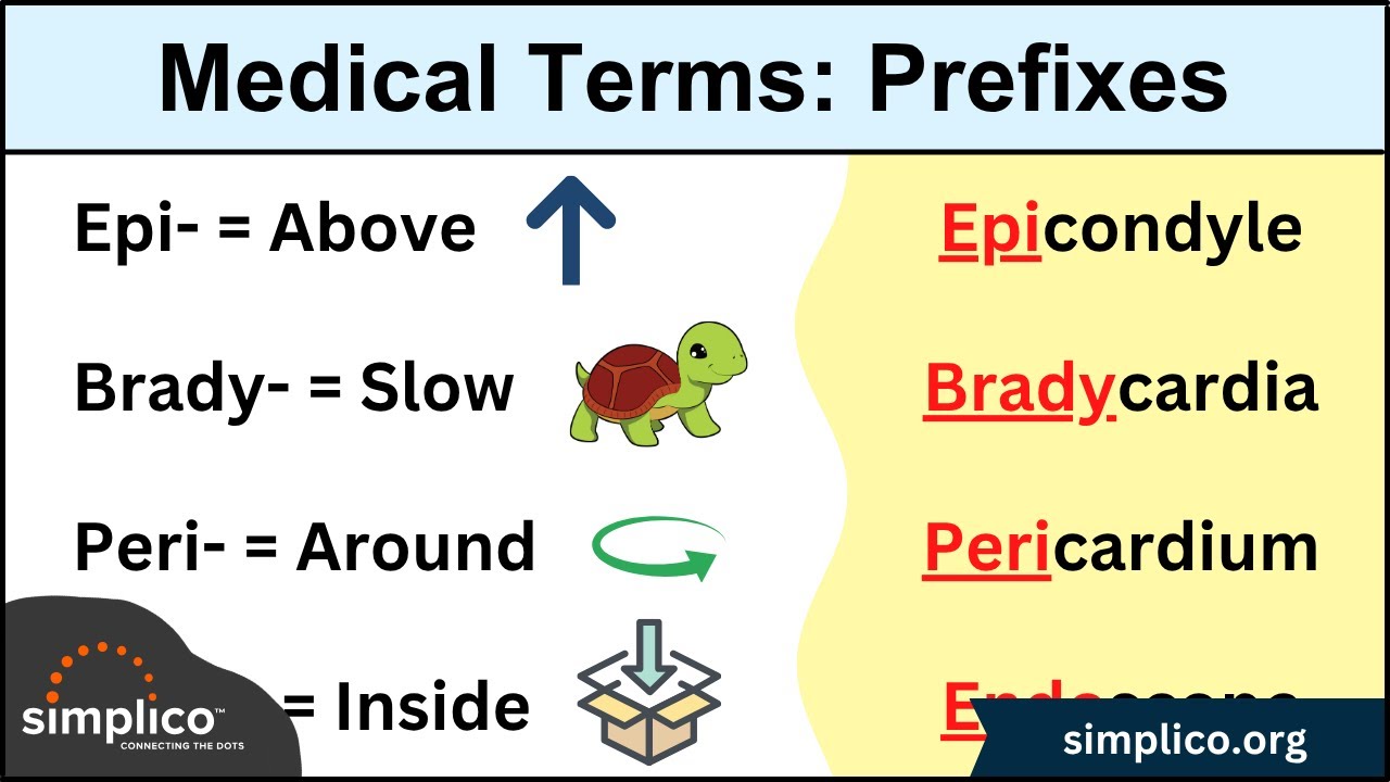 Medical and Nursing Terminology MADE EASY: Prefixes [Flashcard Tables]