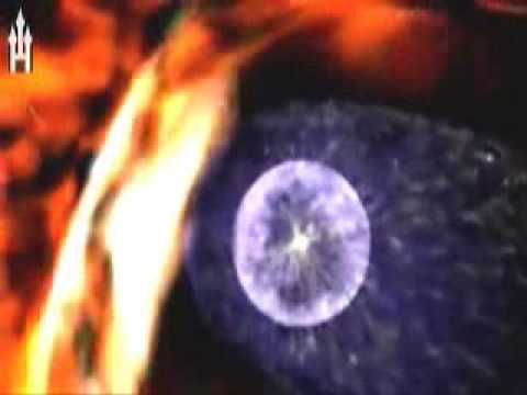 Is This The Best Quran Recitation? Awesome, Heart Trembling!