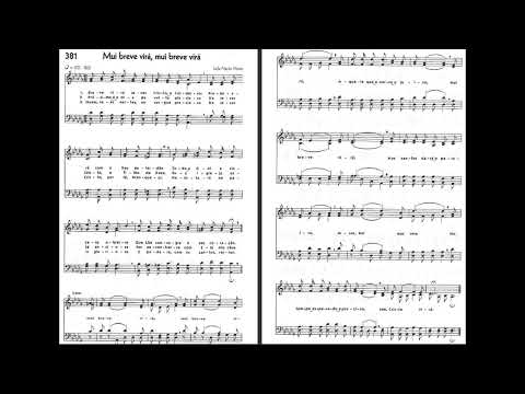 Ensaio CCB Local - Hino 381 MUI BREVE VIRÁ, MUI BREVE VIRÁ