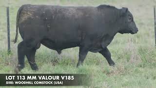 Download lagu LOT 113 MM VALOUR V185 mp3