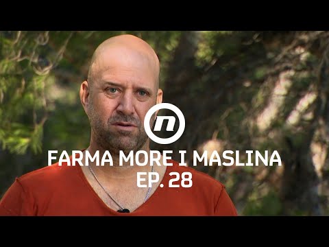 Saša je ljut na neradnike - Epizoda 28 | Farma More i Maslina