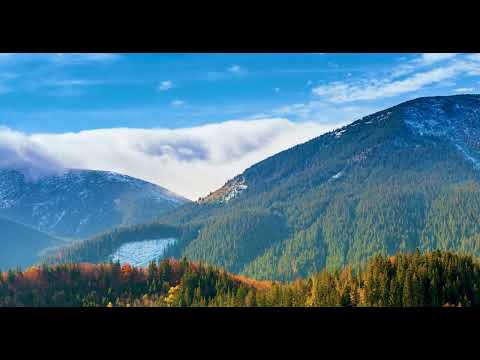 Exciting Views of the Carpathian Mountains | 4K Video