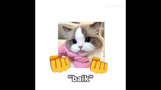 tipe cowokku #lagu #short #like #subscribe #semogarame #semogasuka #capcut #cat