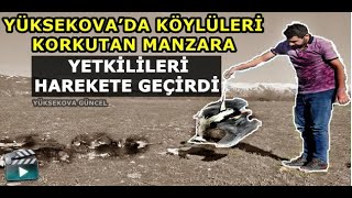 Yüksekova’da Köylüleri Korkutan Manzara: Yetkilileri Harekete Geçirdi